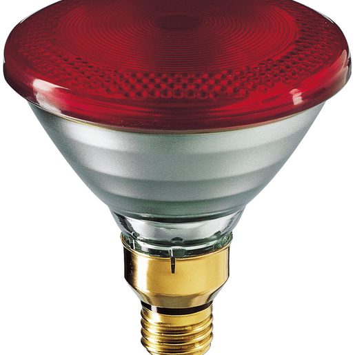 Lampada infrarossi 250w rossa e27