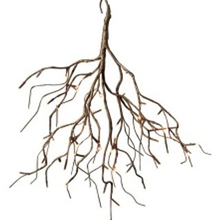 1205554