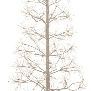1427560